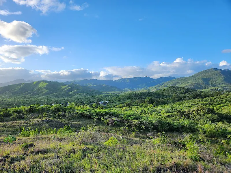 MTB Trails Los Pinchos