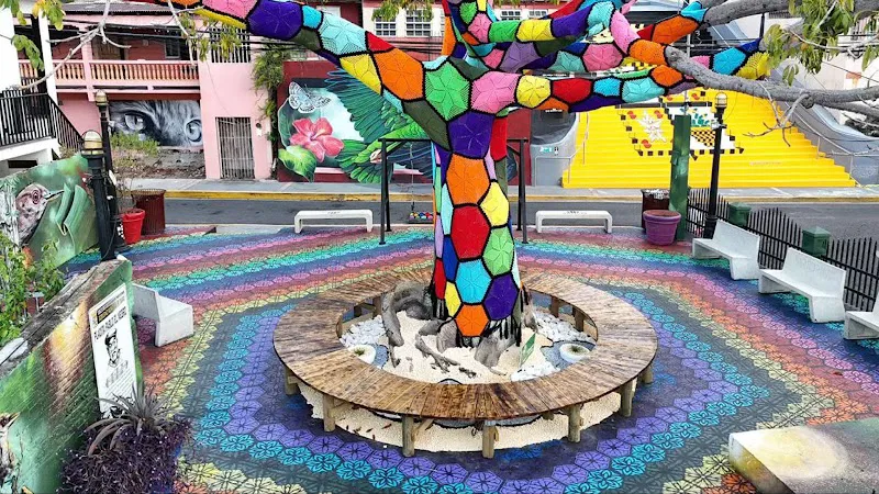 Yauco “el árbol tejido”