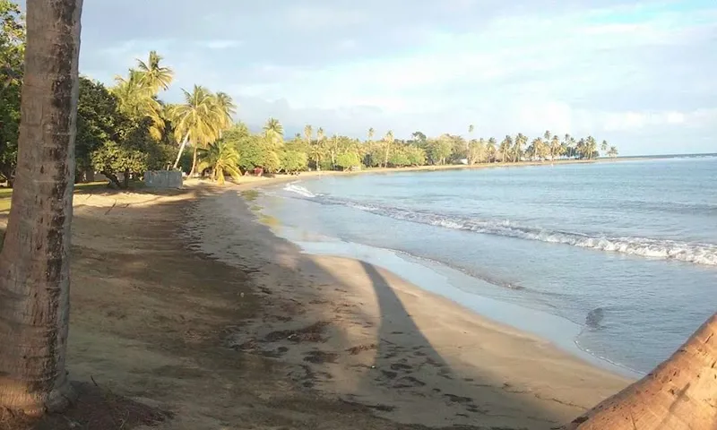Playa Las Palmas