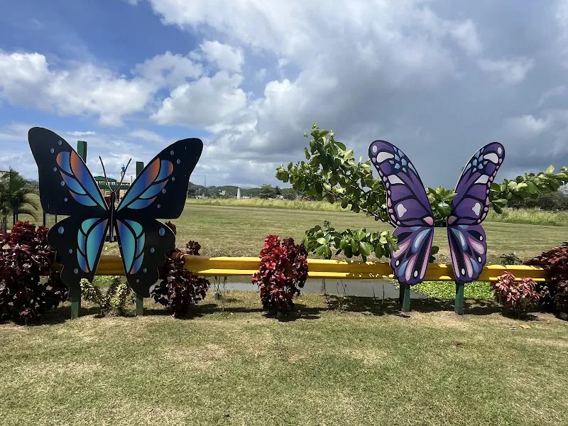 Butterfly Walk
