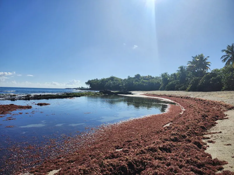 Playa Las Criollas