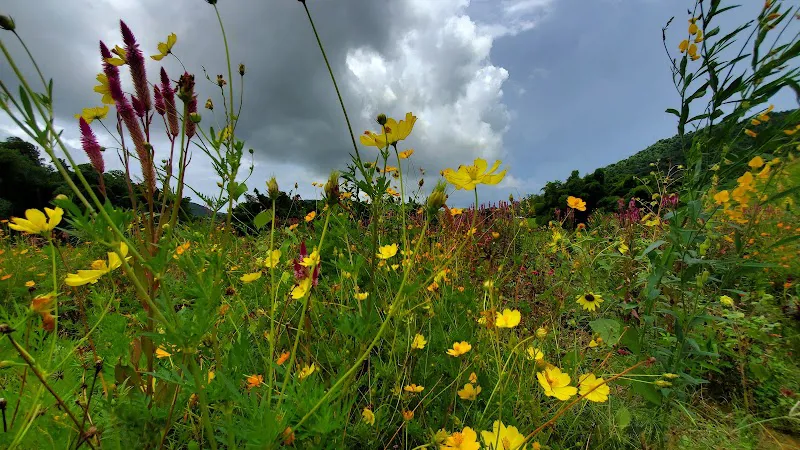 Finca De Rustica