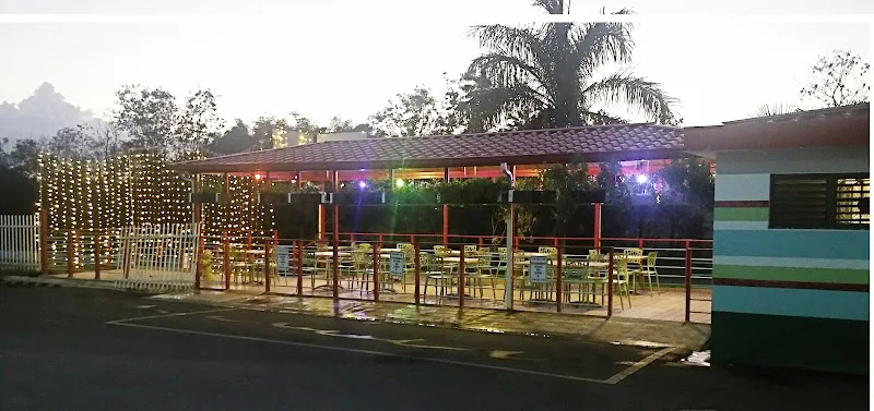 Suculento