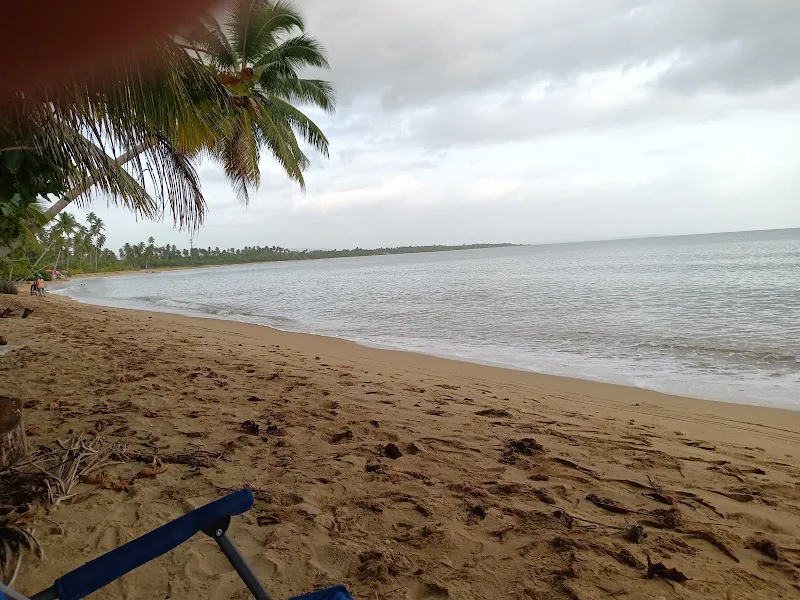 Añasco MTB Minions Trails