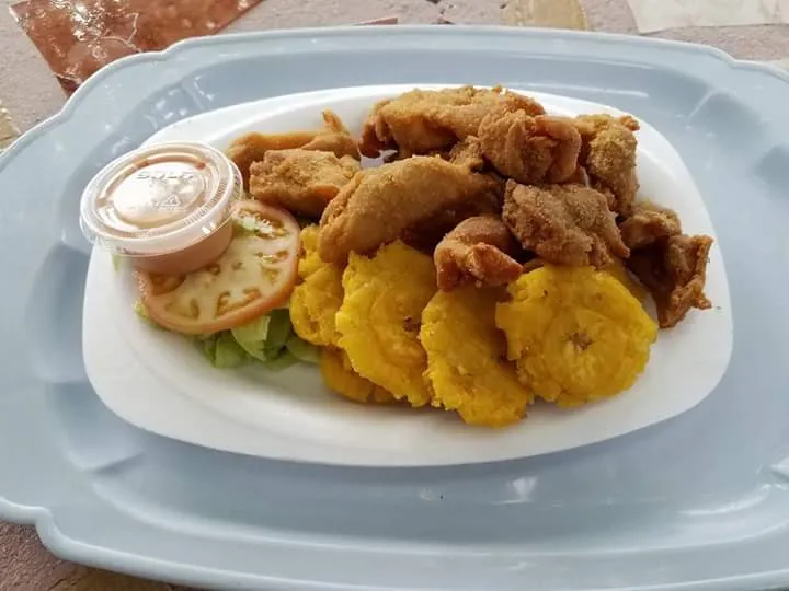 El Flamboyán Criollo