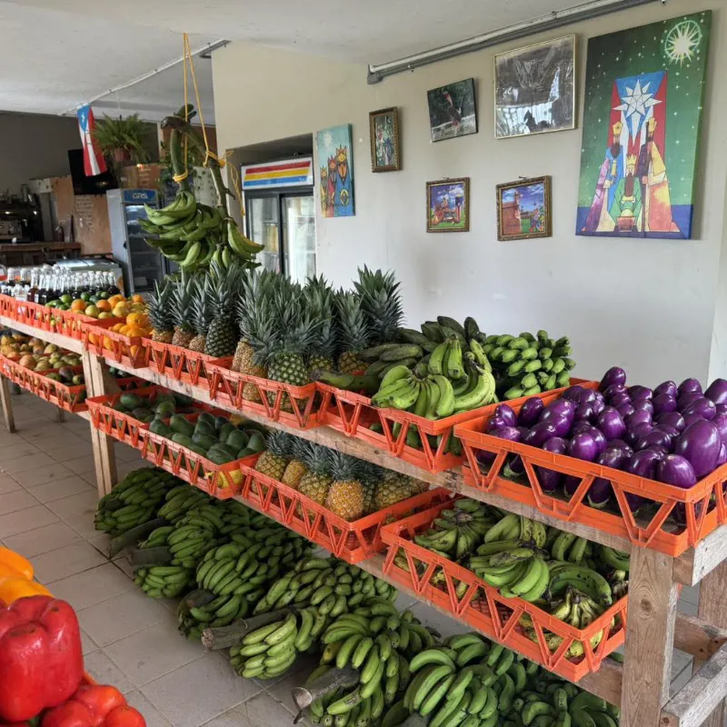 Cultivos Frescos de Aquí