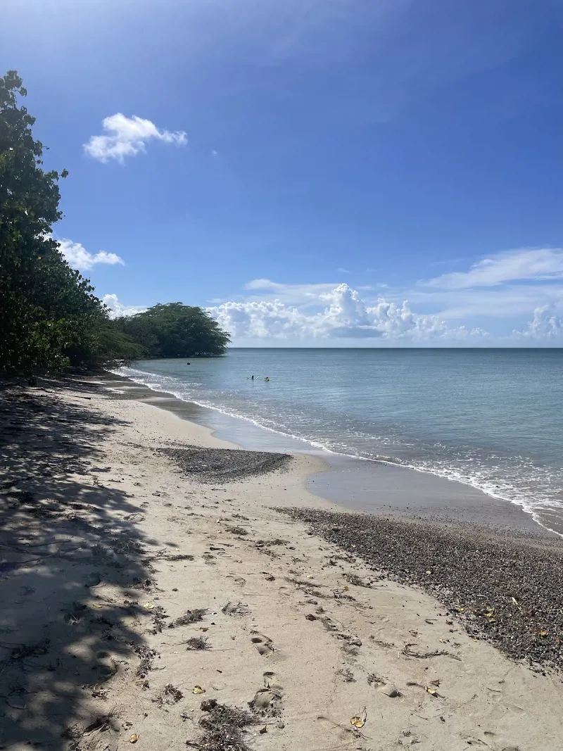 Los Pozos Beach
