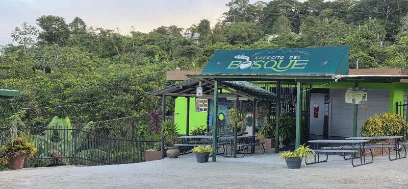 Cafecito del Bosque