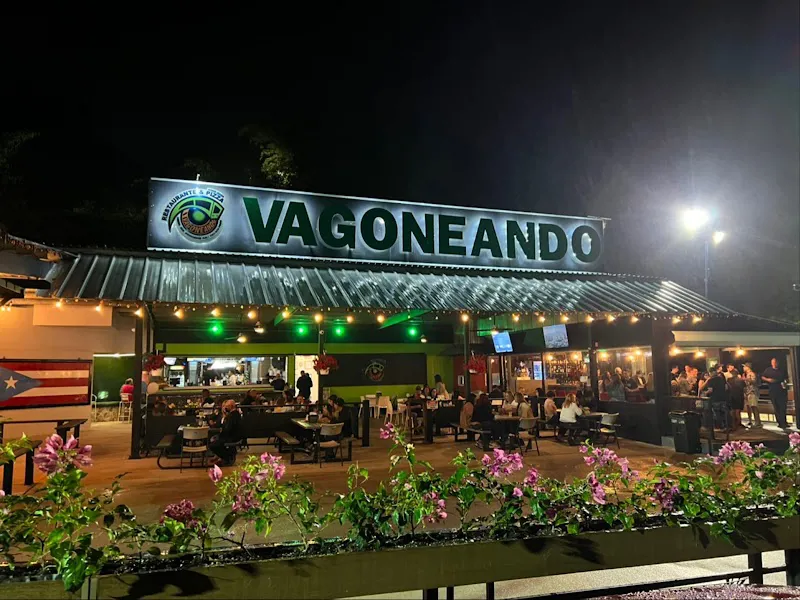 Vagoneando