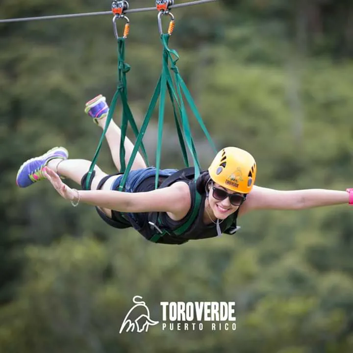Toro Verde (Orocovis)